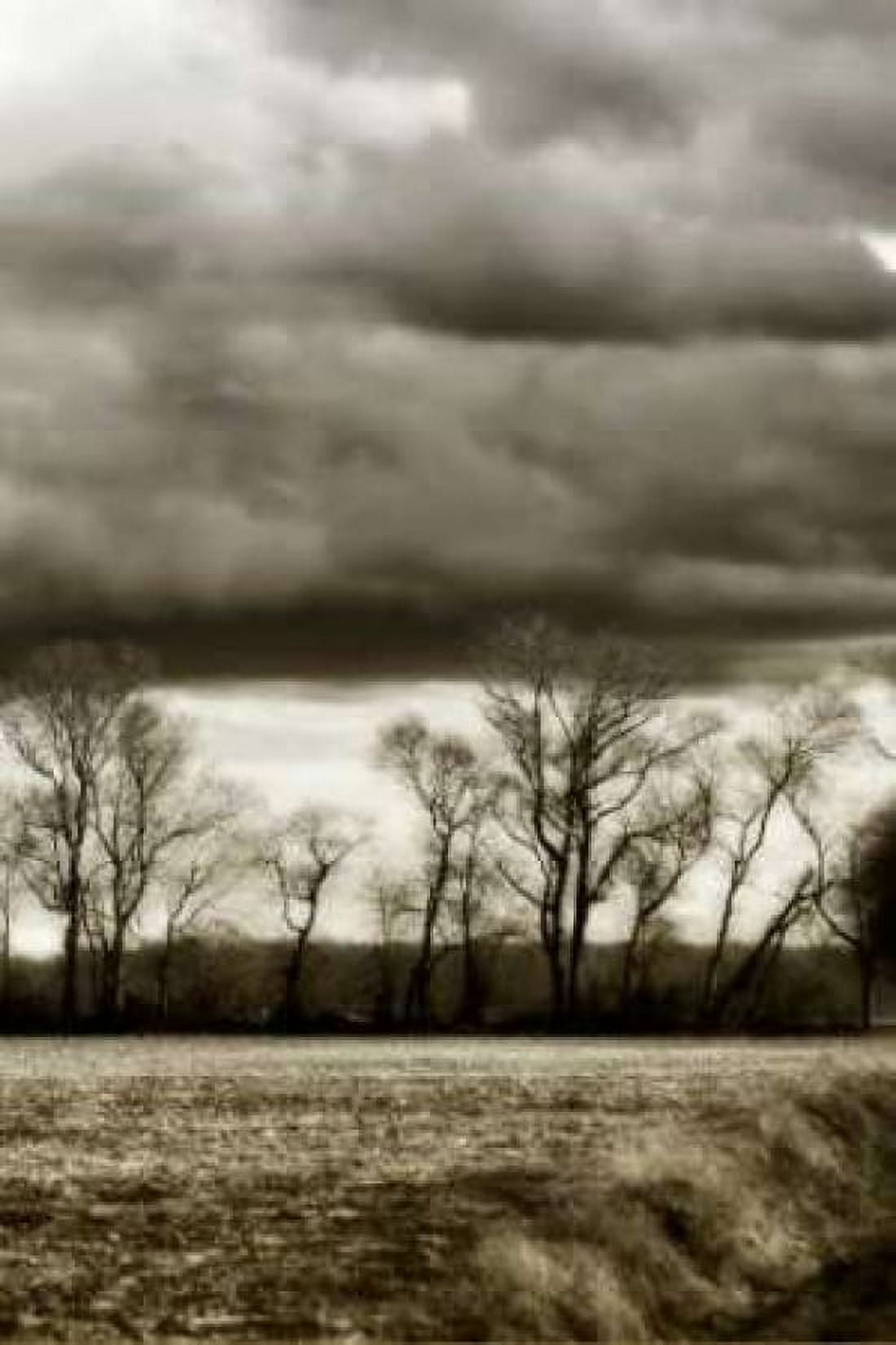 Winter Fields V Canvas Art - Alan Hausenflock (20 x 28)