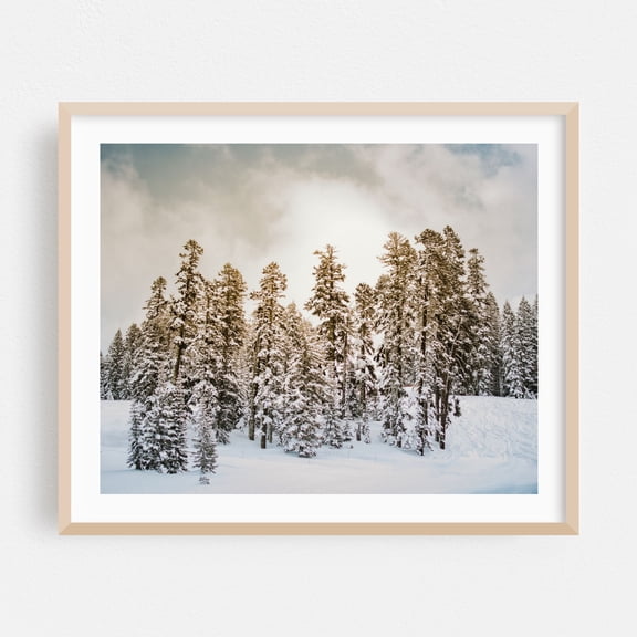 Winter Forest 02 - Bear Valley California Photography Winter Snow Forest Nature Landscape Woodland Scenic Oak Framed Wall Art Print 5 x 7 inches