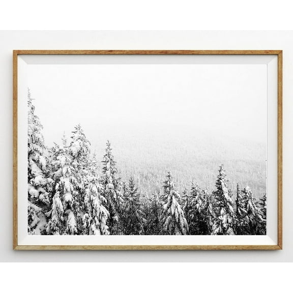 Winter Forest Print Wall Art Snow Covered Pine Trees Art Snowy Trees Winter Wonderland Landscape Photo Black And White Wall Art, Modern Wall Decor, 8x12 UNFRAMED