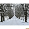 thumbnail image 1 of Winter Forest Snowcovered Road Photography Backdrops Blurred Landscape Snowflakes Road Spruce Trees Photo Background XD-04, 1 of 5
