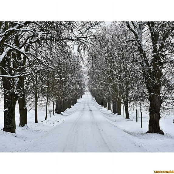 Winter Forest Snowcovered Road Photography Backdrops Blurred Landscape Snowflakes Road Spruce Trees Photo Background XD-04