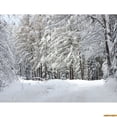 thumbnail image 1 of Winter Forest Snowcovered Road Photography Backdrops Blurred Landscape Snowflakes Road Spruce Trees Photo Background XD-06, 1 of 5