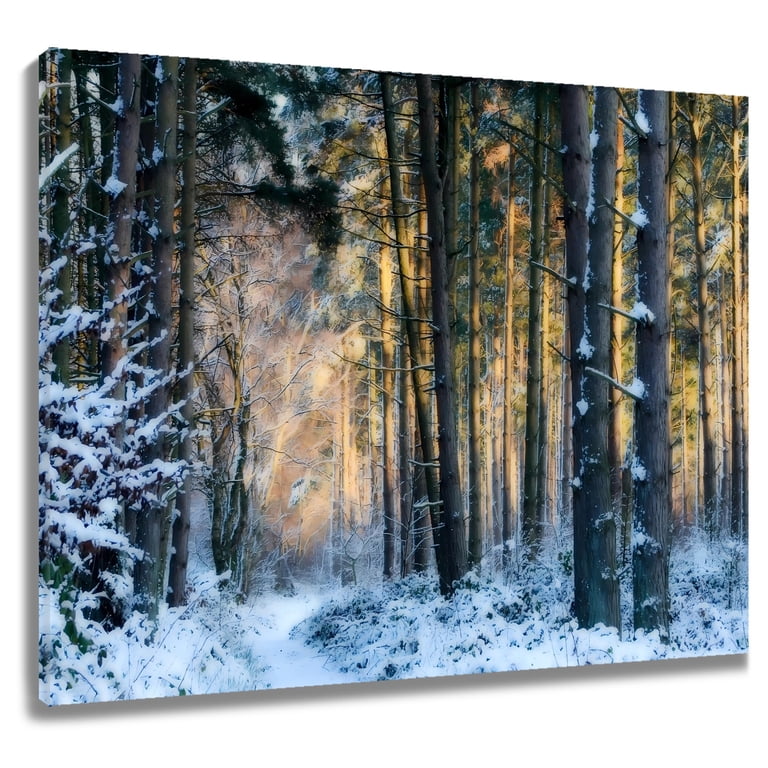 Winter Forest Wall Art Green Trees in White Snow with  display picture 1