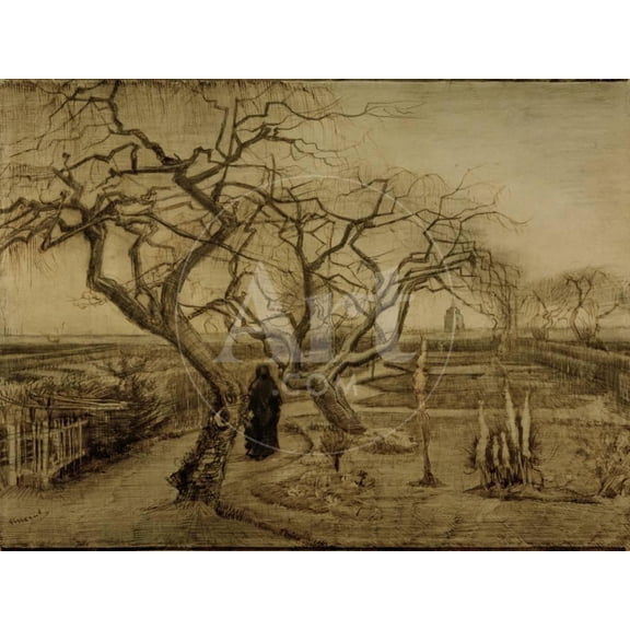 Winter Garden, March 1884, Scenic Unframed Giclee Print Wall Art by Vincent van Gogh Sold by ArtCom