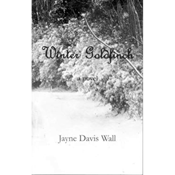 Pre-Owned Winter Goldfinch (Paperback) 0979341507 9780979341502