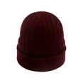 thumbnail image 1 of Winter Hats for Men and Women Cold Weather Gear Women’s Knit Hat for Fall and Winter Warm Pullover Hop Style Cap Basic Winter Knit Hat, 1 of 4