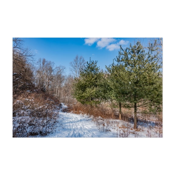 A Winter Hike Through Nixon Park, York County PA - York Pennsylvania Photography Winter Snow Forest Nature Woodland Scenic Landscape Unframed Wall Art Print 4 x 6 inches