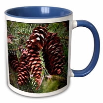 3drose, Winter Holiday Pinecones Christmas Evergreen, 11oz Two-tone Blue Mug
