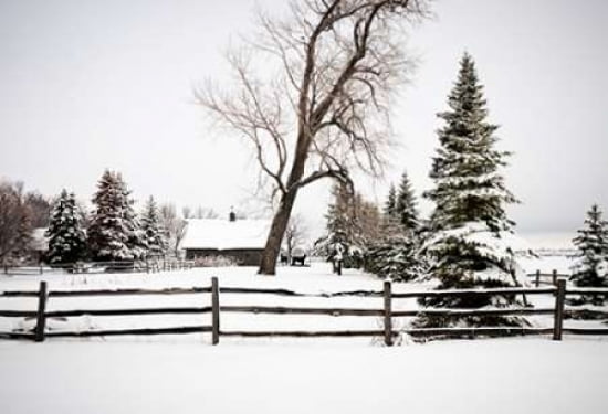 Winter I Canvas Art - Beth Wold (12 x 18)