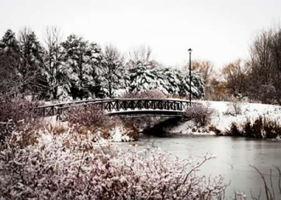 Winter II Canvas Art - Beth Wold (18 x 24)