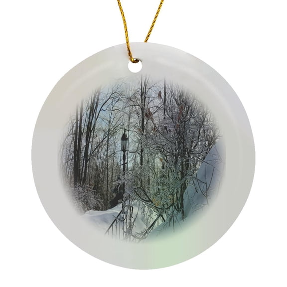3drose, Winter Ice Storm Branches Ice Coated, Circle Porcelain Ornament