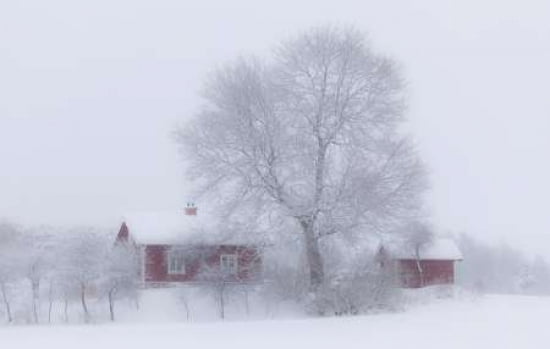 Winter Idyll Canvas Art - Allan Wallberg (12 x 18)
