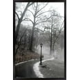 thumbnail image 1 of Winter In Central Park Wall Poster, 14.725" x 22.375", Framed, 1 of 3