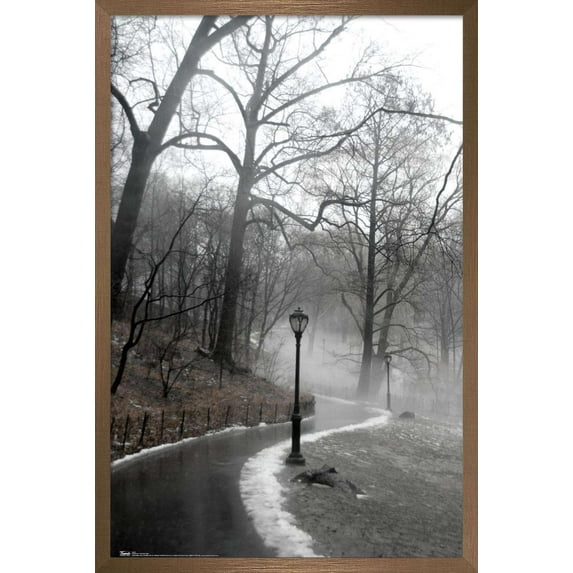 Winter In Central Park Wall Poster, 22.375" x 34", Framed
