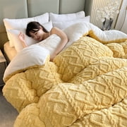 JMKQLZ Winter Lambswool Quilt Thick Warm Plush Bedding Comforter Bed Blanket Cold Weather Protection Suitable For All Seasons