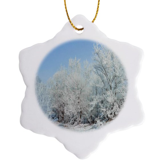 3drose, Winter Landscape, 3 inch Snowflake Porcelain Ornament