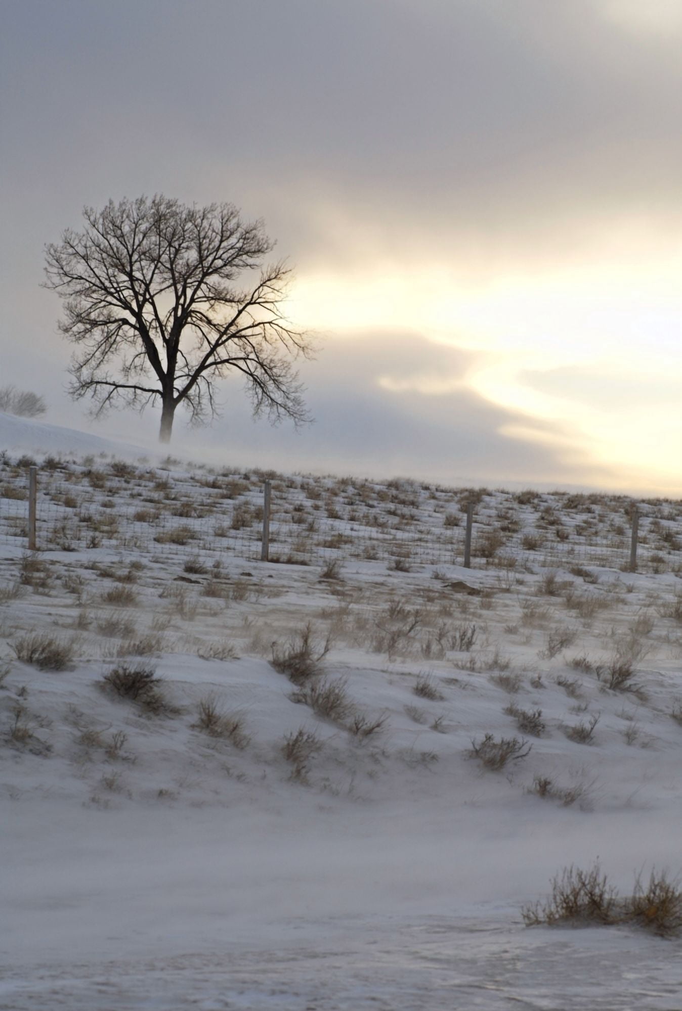 Winter Landscape Canvas Art - Chris and Kate Knorr Design Pics (24 x 34)