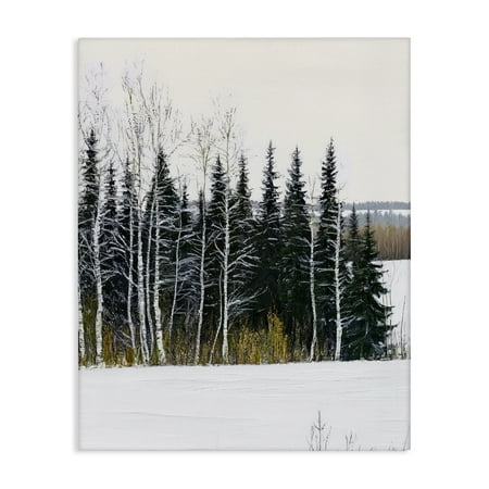 Stupell Industries Winter Landscape Grove Canvas Wall Art, design by Arlington Prints