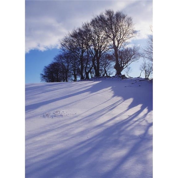 Winter Landscape Poster Print by The Irish Image Collection, 13 x 18