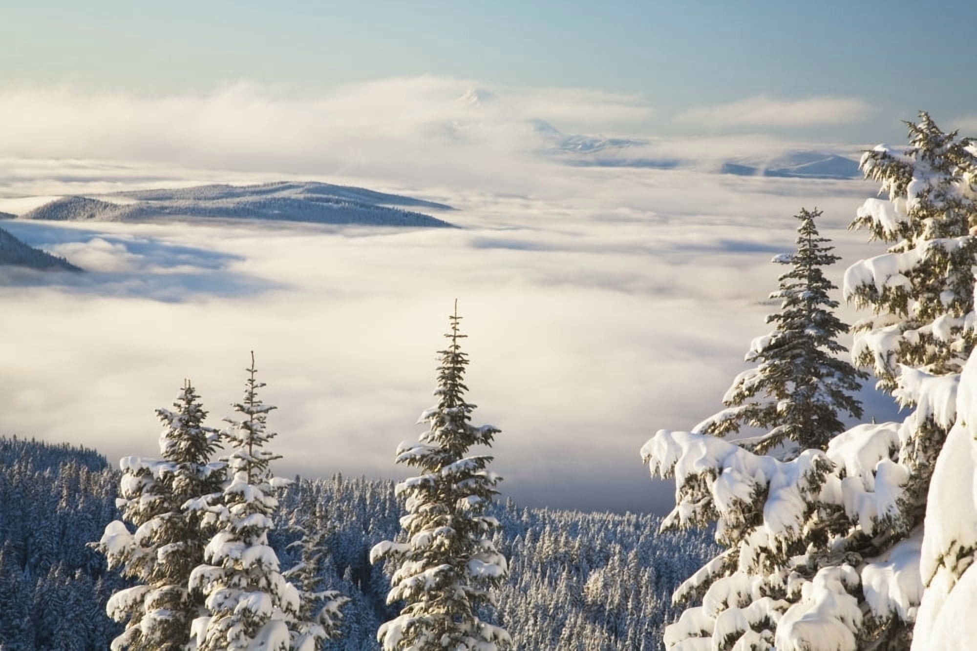 Winter Landscape With Clouds And Snow-Covered Trees OregonUsa Canvas Art - Craig Tuttle Design Pics (38 x 24)