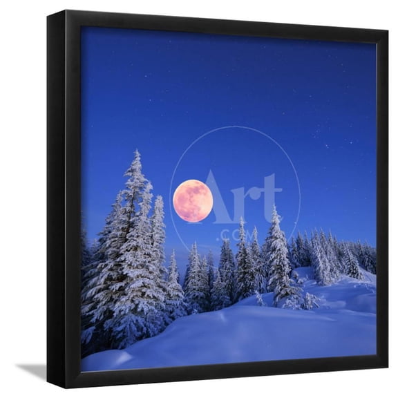 Winter Landscape in the Mountains at Night A Full Moon and a Starry Sky Carpathians, Ukraine, Framed Art Print Wall Art by Kotenko Sold by Art.Com