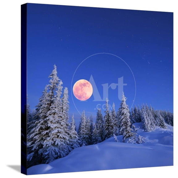 Winter Landscape in the Mountains at Night A Full Moon and a Starry Sky Carpathians, Ukraine, Stretched Canvas Wall Art by Kotenko Sold by Art.Com