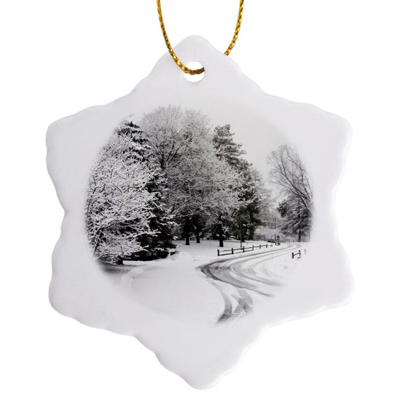 3drose, Winter Lane, Rail Fence, Snow Covered Trees - Us24 Bfr0115 - Bernard Friel, 3 inch Snowflake Porcelain Ornament
