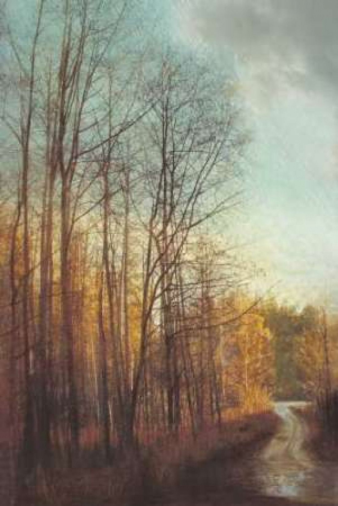 Winter Light I Canvas Art - Amy Melious (12 x 18)