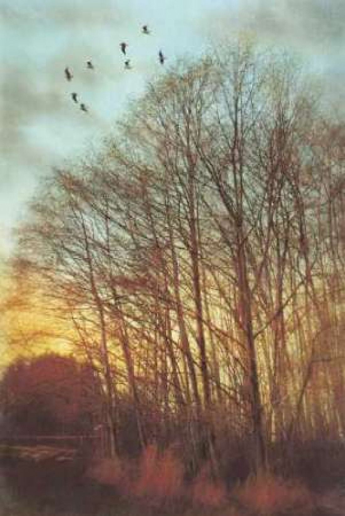 Winter Light II Canvas Art - Amy Melious (24 x 36)