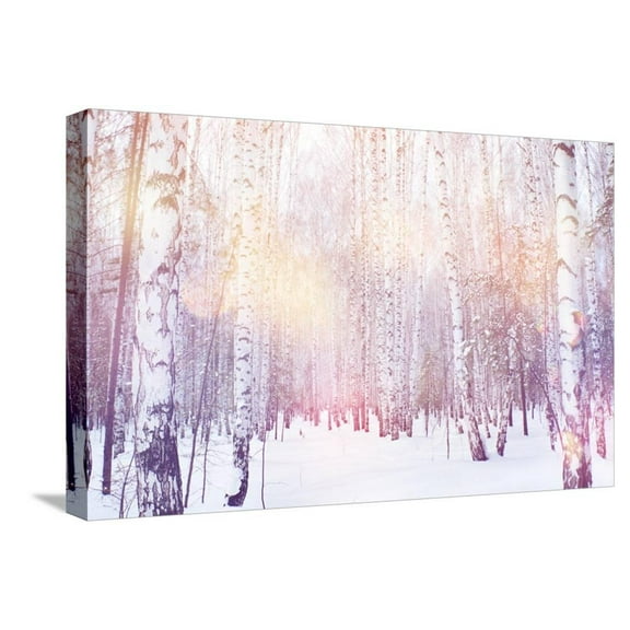 Winter Magic Birch Grove, Stretched Canvas Wall Art by Ataly Sold by Art.Com