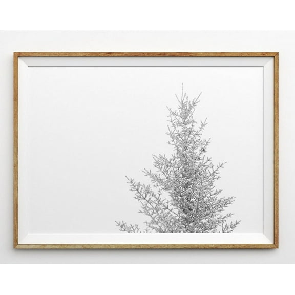 Winter Minimalist Print Snowy Pine Tree Wall Art Prints Tree Art Winter Landscape Photography Winter Snow Scene Photo Snow Covered Tree Wall Art, Modern Wall Decor, 8x12 UNFRAMED