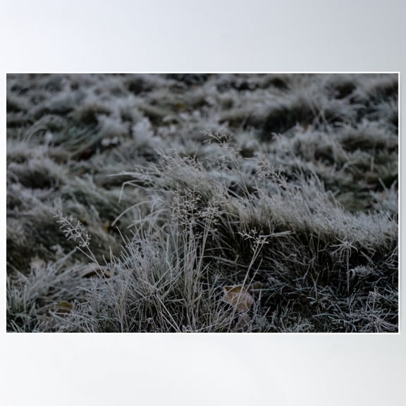 Winter Morning Frost Poster Wall Art, Modern Wall Decor For Living Room Bedroom, 8x12 UNFRAMED