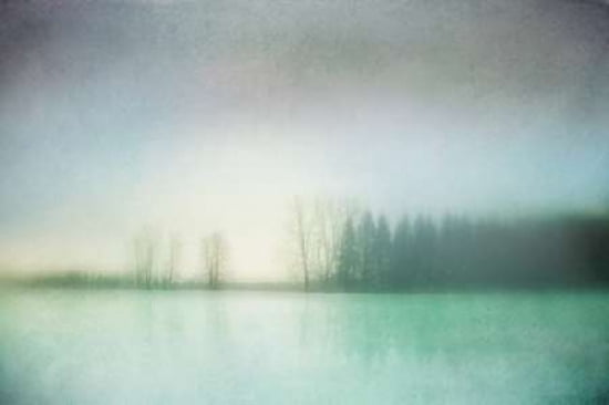 Winter Morning II Canvas Art - Roberta Murray (12 x 18)