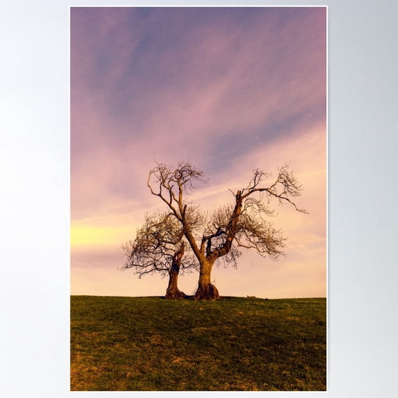 Winter Morning Poster Wall Art, Modern Wall Decor For Living Room Bedroom, 8x12 UNFRAMED