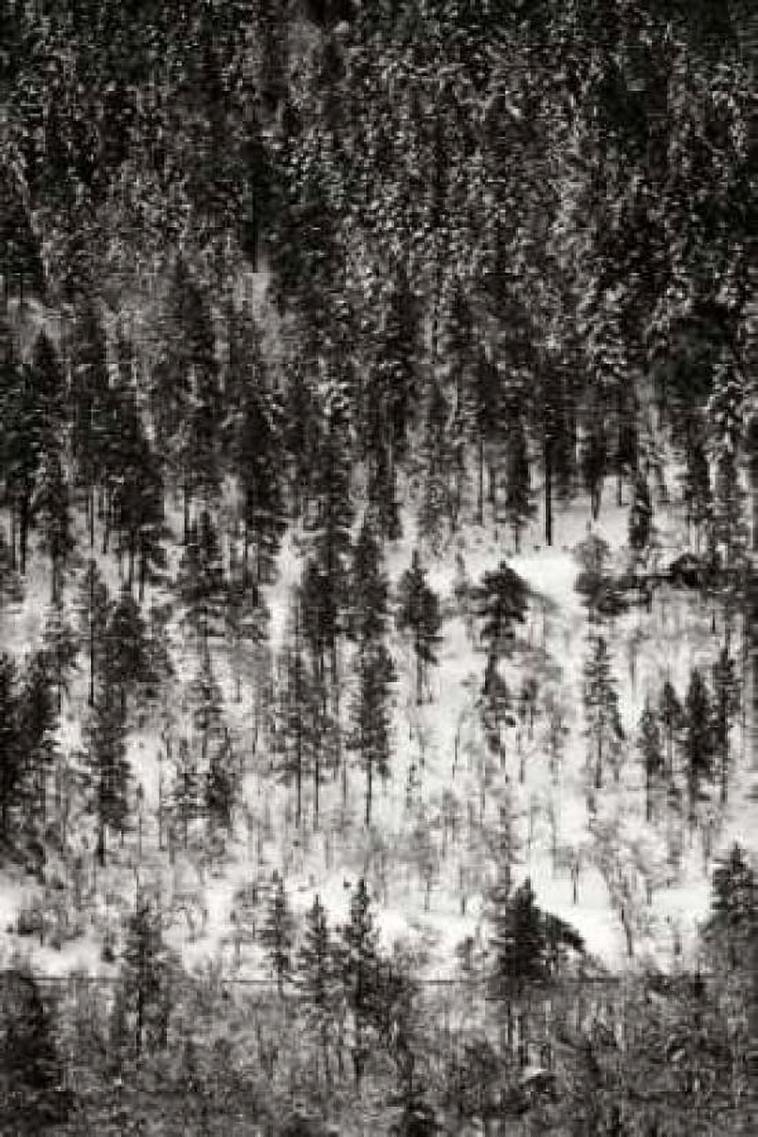 Winter Mosaic II Canvas Art - Vitaly Geyman (12 x 18)