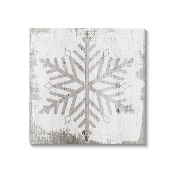 Winter Nature Snowflake Shape Holiday Graphic Art Gallery Wrapped Canvas Print Wall Art