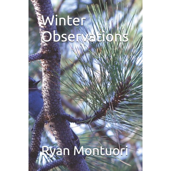 Winter Observations, (Paperback)
