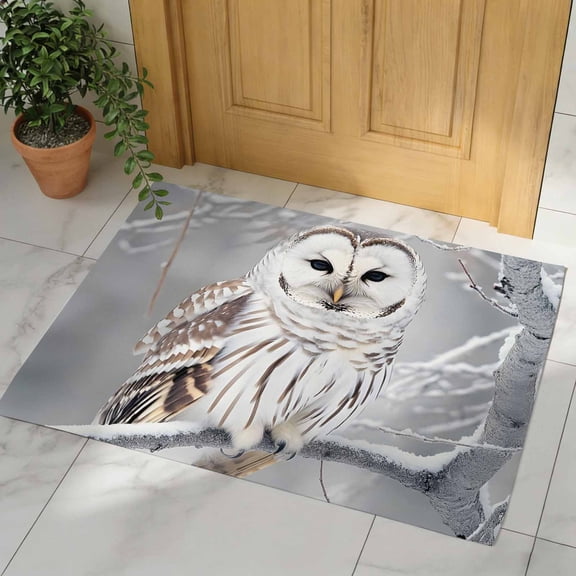 Winter Owl Door Mat, Non Slip Bathroom Rugs, Country Birds Animal Tree Branches Snow Absorbent Floor Mats, Washable Runner Rug Indoor Doormat for Front Door Entrance, Patio, Garage 16"x24"