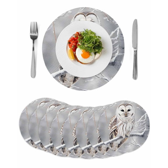 Winter Owl Round 13 Inch Placemats Set of 8, Country Birds Animal Tree Branches Snow HeatResistant Non Slip Place Mats for Dining Table, Wipeable Braided Kitchen Table Mats for Housewarming