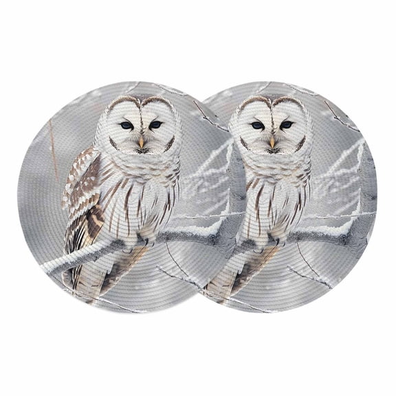 Winter Owl Round Placemats Set of 2, Braided Polypropylene Place Mats, Country Birds Animal Tree Branches Snow Washable Table Mats for Kitchen Dinner Holiday Wedding Party Coffee Table Decoration 15"