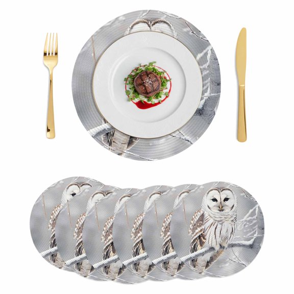 Winter Owl Round Placemats Set of 6, Braided Polypropylene Place Mats, Country Birds Animal Tree Branches Snow Washable Table Mats for Kitchen Dinner Holiday Wedding Party Coffee Table Decoration 15"