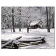 thumbnail image 1 of Winter Photo Ceramic Tile Mural Kitchen Backsplash Bathroom Shower 406409-XL54, 1 of 3