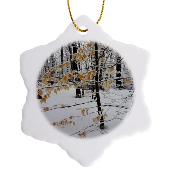 3drose, Winter Photography Pretty Scene, 3 inch Snowflake Porcelain Ornament