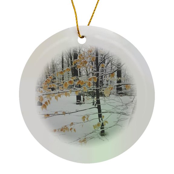 3drose, Winter Photography Pretty Scene, Circle Porcelain Ornament