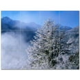thumbnail image 1 of Winter Picture Ceramic Tile Mural Kitchen Backsplash Bathroom Shower 406422-S43, 1 of 3