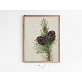 Winter Pine Tree Branch Botanical Print, Unframed Paper Poster 8x10in