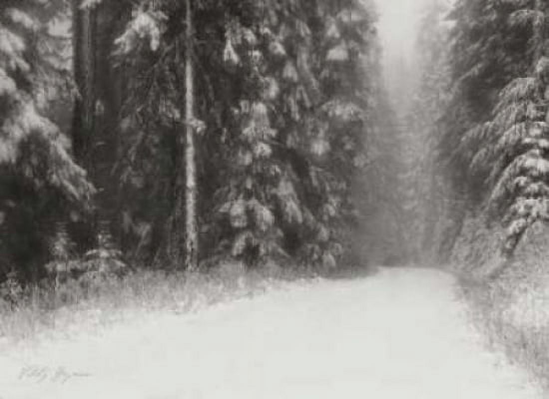 Winter Pine Tree Paradise BandW Canvas Art - Vitaly Geyman (18 x 24)