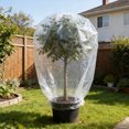thumbnail image 1 of Winter Plants Freeze Protection Bag Transparent Tree Cover Reusable 94x82in Plastic Frost, 1 of 6