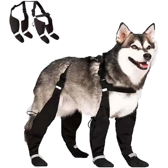 Yardly Canada Pooch Winter Reflective Dog Costume, Pet Costumes, Black, XS