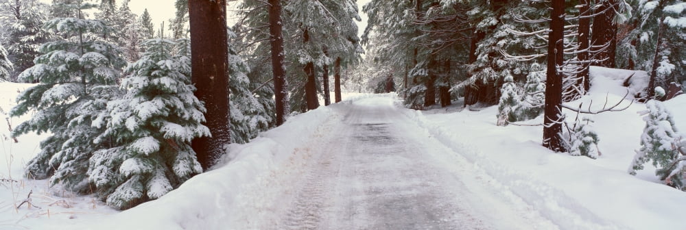 Winter Road Near Lake Tahoe California Canvas Art - Panoramic Images (27 x 9)